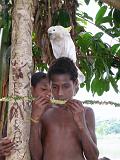 Papua Sepik and Blackwater River (Karavari Timbunke) - 069